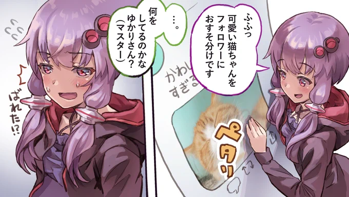 ツイッターに
ツイートした覚えのない
可愛いねこ画像が複数ある件 