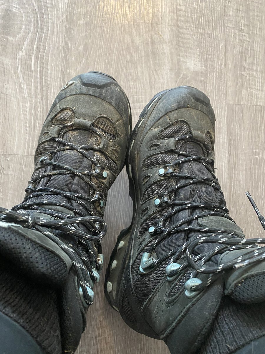 Melissa Rushton tweet media