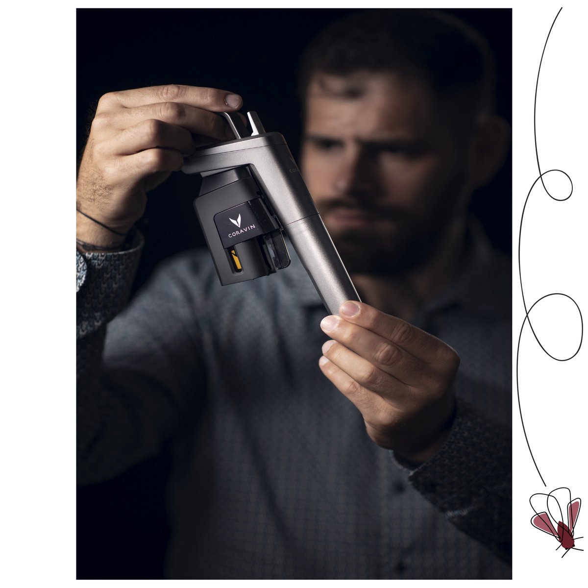 #coravin #model5 #pre__phylloxera