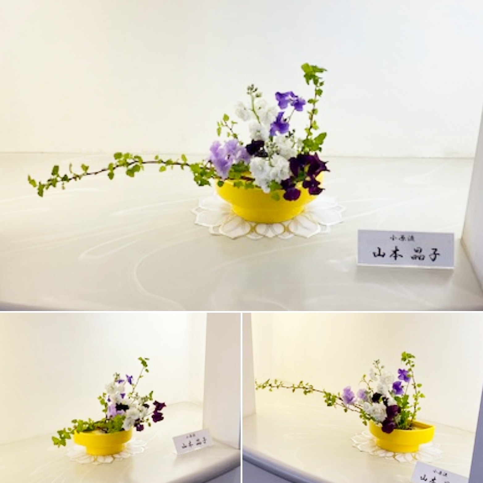 Toyokawa Libgeo 豊川市中央図書館２階通路のお花 小原流 が いけ替わりました 今回の花材は キンバコデマリに 白いストック そして紫のスイートピーです T Co 5d2goceywi 豊川市 図書館 中央図書館 Library いけばな いけ花 キンバ