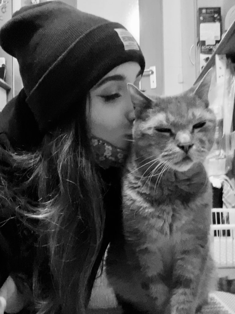 BasoStream's tweet image. Für alle, die neugierig sind:

Mein Kater Jerry ist leider letzten Montag verstorben. Mir geht es dementsprechend nicht so gut, deswegen schaffe ich zurzeit auch keine Streams, sorry. Ich vermisse ihn sehr. 😔

Falls ihr ein Haustier habt: bitte gebt ihm heute extra viel Liebe.❤️