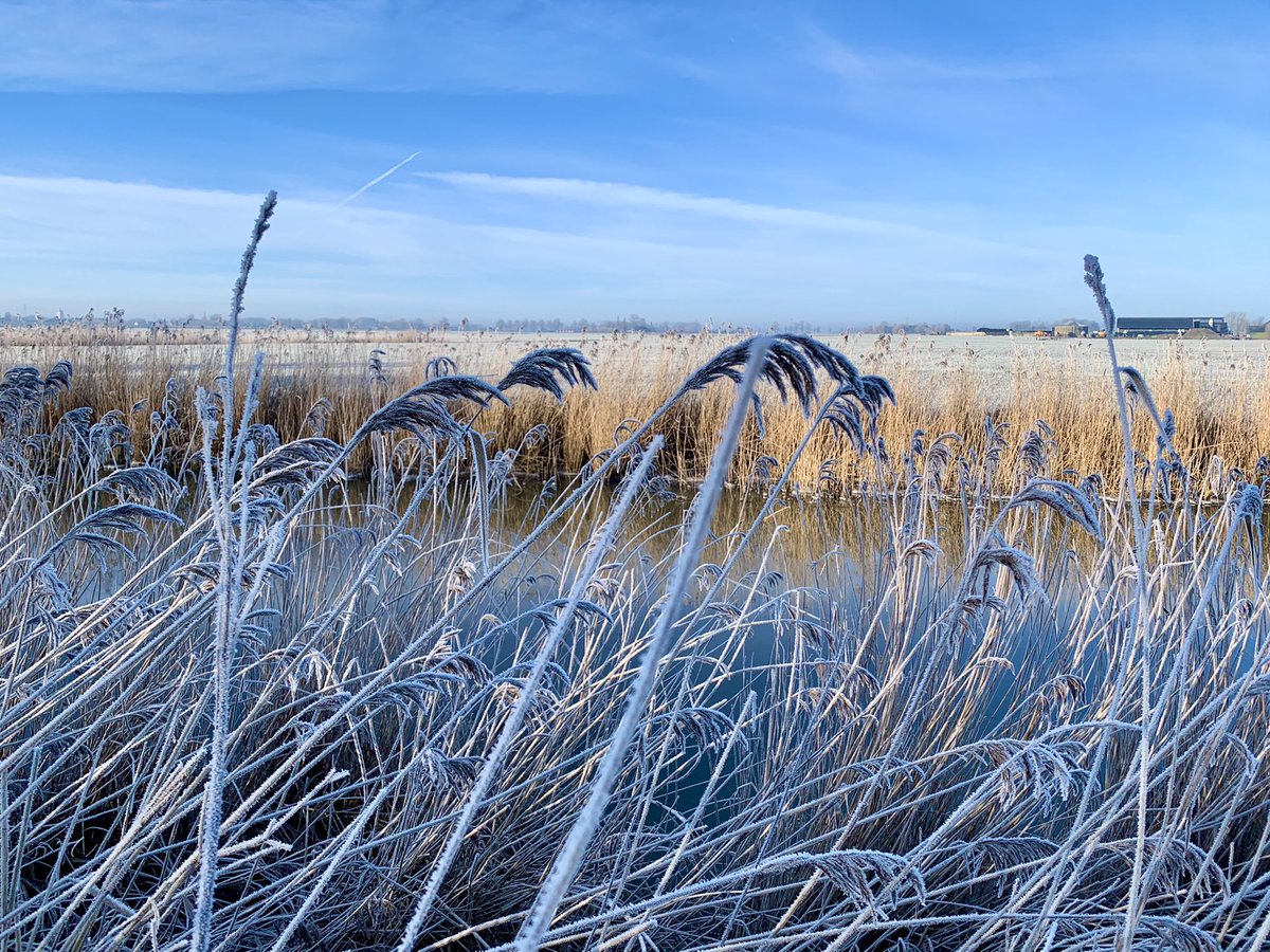 Danny Schudde tweet media