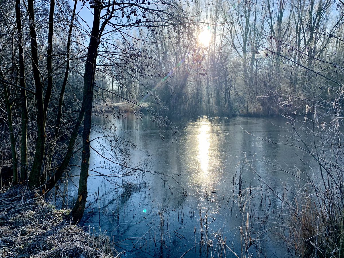 Danny Schudde tweet media