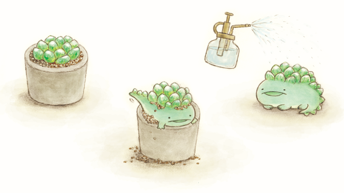 「cactus」 illustration images(Latest｜RT&Fav:50)｜4pages