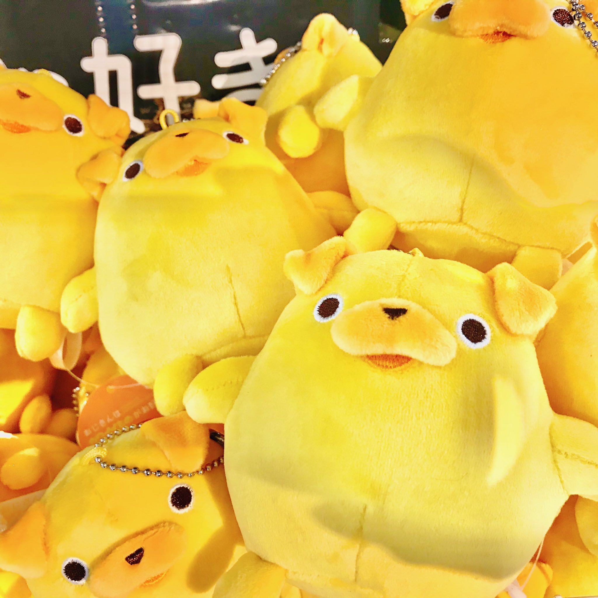 未使用 パグ太郎 ぬいぐるみ おじさんはカワイイものがお好き おじカワ 超巨大！『おじさんはカワイイものがお好き。』ジャンボパグ太郎