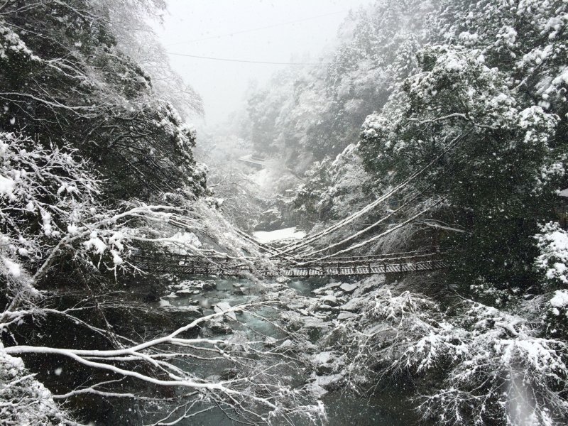 JapanTravel's tweet photo. We’re still exploring #Tokushima for our #47prefectureproject today, and we’ll be taking a look into one of the region’s most beautiful destinations: the Iya Valley. It's filled to the brim with spectacular natural scenery!
Find out more: https://t.co/kpeN3dOzAP #JapanTravel https://t.co/425uGCfr2X