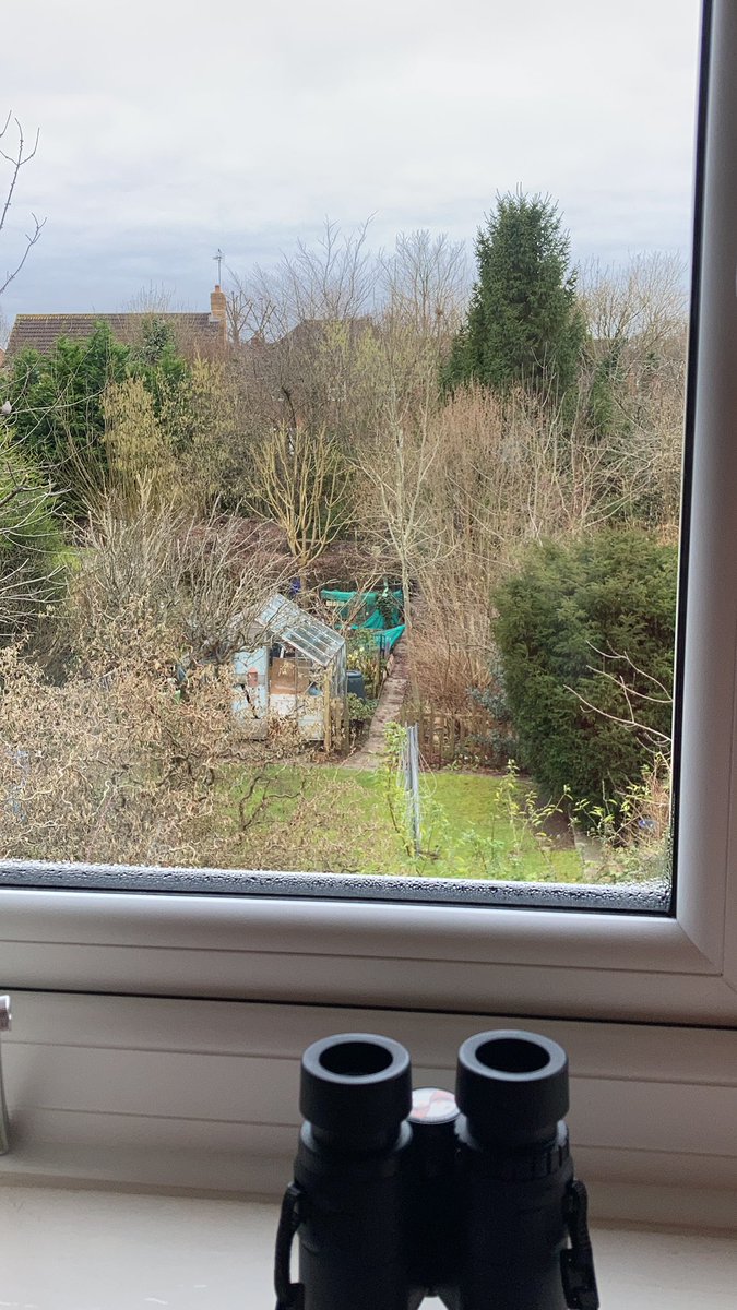 markjg103's tweet photo. @Natures_Voice #BigGardenBirdWatch done for another year :
Robin 2 Magpie 2 Blue tit 2 Great tit 1 Collared dove 2 Jay 2 Crow 1 Goldfinch 3 Blackbird 4 Dunnock 1 Sparrow 1 Wood pigeon 2 Longtailed tit 2 @CharlyCrump @ecopedagogue @eddrewitt https://t.co/9IoxHxOBwq