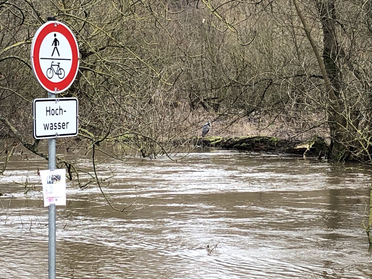 CHoerath's tweet photo. Ob Reiher auch Schilder brauchen, um das Offensichtliche zu sehen? 🤔 #offensichtlich https://t.co/r6GUmpGeBa