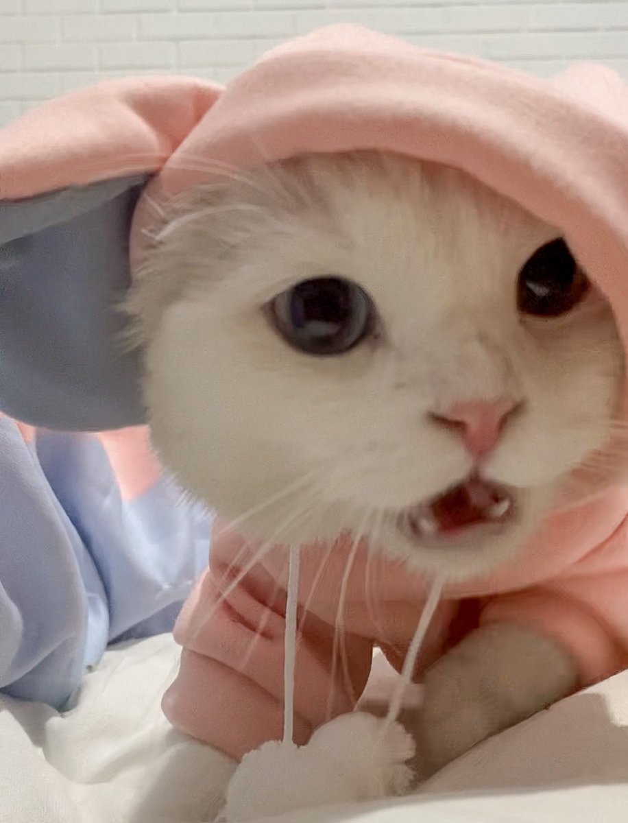 awwwfluffy's tweet photo. ลึคุมตะบอกว่าผมมะเฟี้ยวอะ https://t.co/8hlP2exuSq
