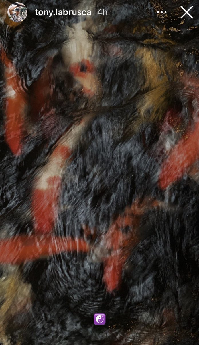 Wild_Shiba's tweet image. Ang hilig nila sa ambiguous contents😭❤️💛

#JCTON is real 
#XavMi