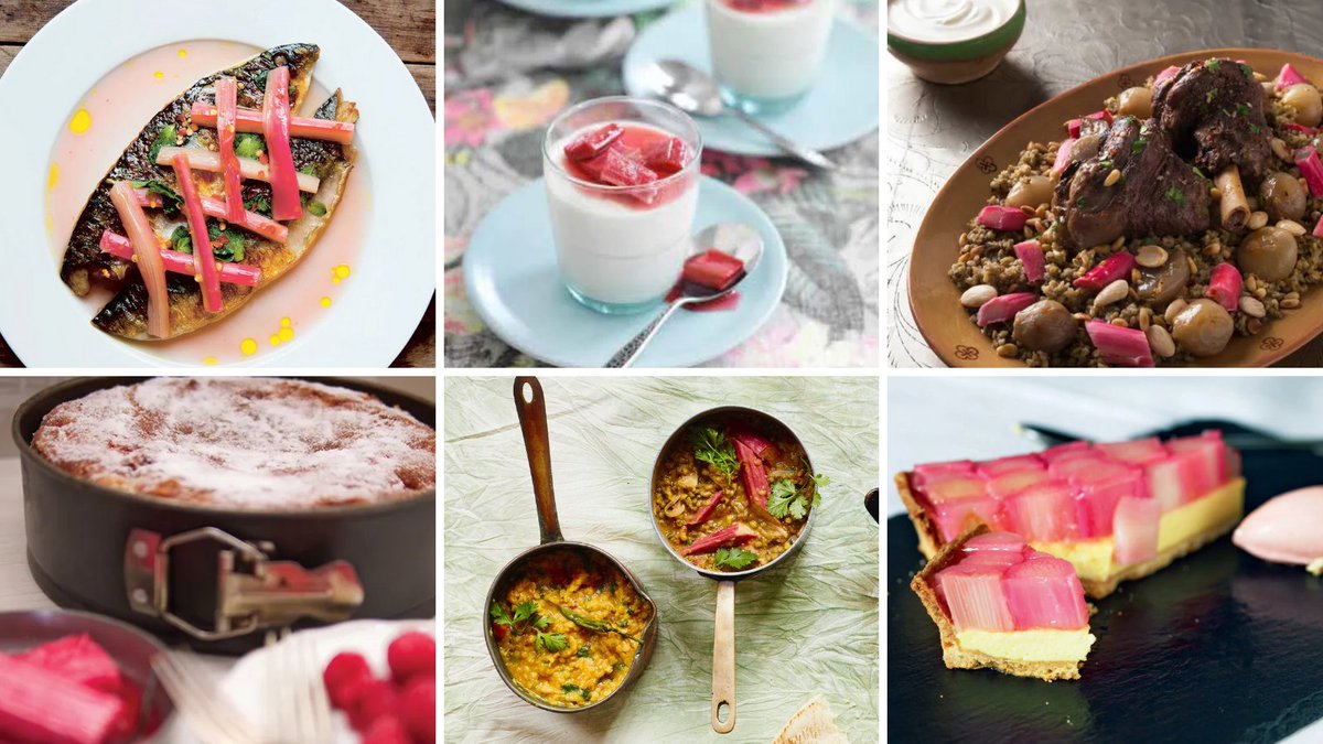 It's #forcedrhubarb season. Starting life outside, then grown in darkened sheds throughout winter, giving it a pale colour &amp; subtle flavour Try these recipes from <a href="/rowley_leigh/">Rowleyleigh</a> <a href="/cookwithjopratt/">Jo Pratt</a> <a href="/Bethanykd/">Bethany Kehdy</a> @mountaincafe <a href="/NishaKatona/">Nisha Katona</a> <a href="/chefsimonboyle/">Simon Boyle</a> &amp; more   app.ckbk.com/collection/756…