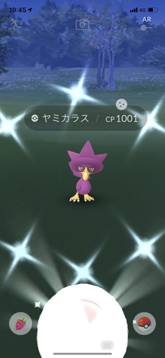 あまちゃん ポケモンgo ヒマナッツはどこが色違いなのかな ヤミカラス嬉しいやつ ポケモンgo 色違い