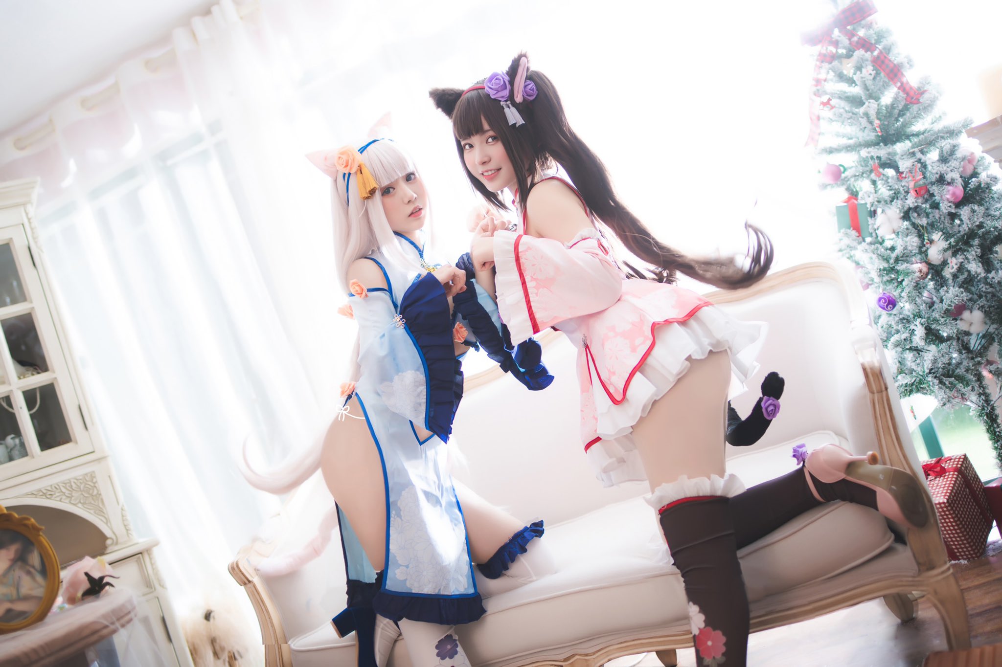 画像,猫猫@taigaxiu #ネコぱら #nekopara #네코파라 #コスプレ https://t.co/jUqo9CnVQu…