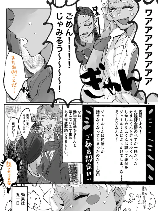 翻訳バージョン見たい!と言ってくださった方がいたので載せます〜!?
ありがとうございました?

言葉が分からないのを良いことに色んなこと口走ってました?
この日の夜はいつもの倍以上活き活きしていたじゃみるくん、、、? 