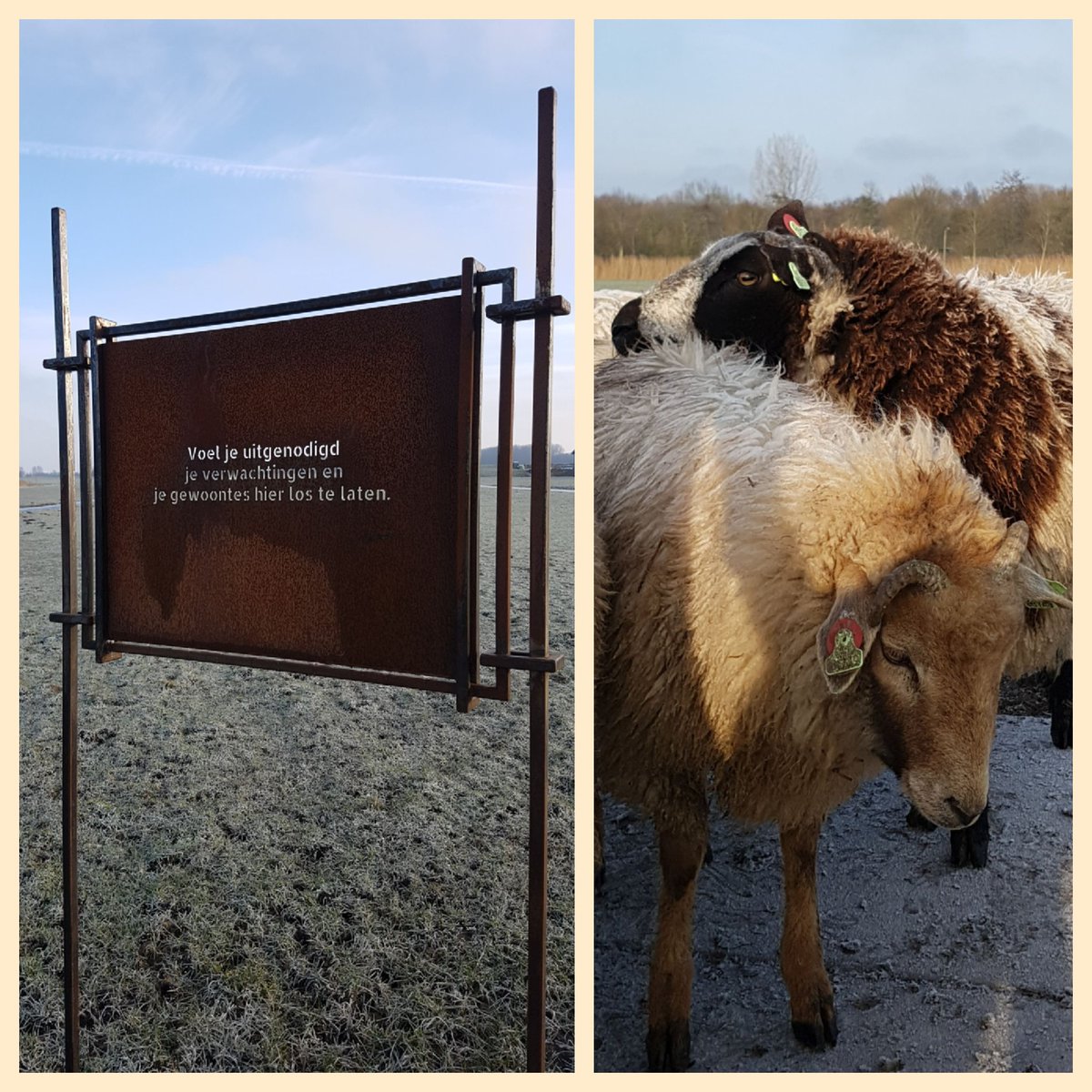 Wandel mee met onze ommetjes en krijg meer energie. Download gratis de Ommetje-app. Gebruik de code (6CH9T) en sluit je aan bij team DelftvoorElkaar.