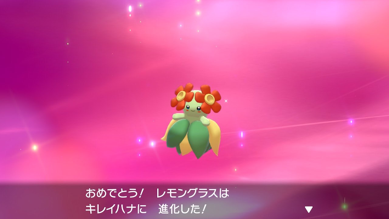 Zeni Tyoge またteeシャツ着替えたよ ダサかわteeが今の気分 ポケモン剣盾 ポケモン好きさんと繋がりたい T Co Yv6imjziso Twitter