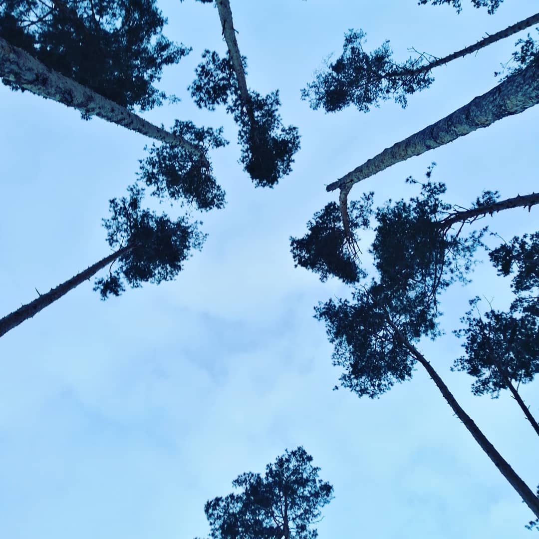 Joe_Hitboy's tweet image. The city of Korostyshiv 💙