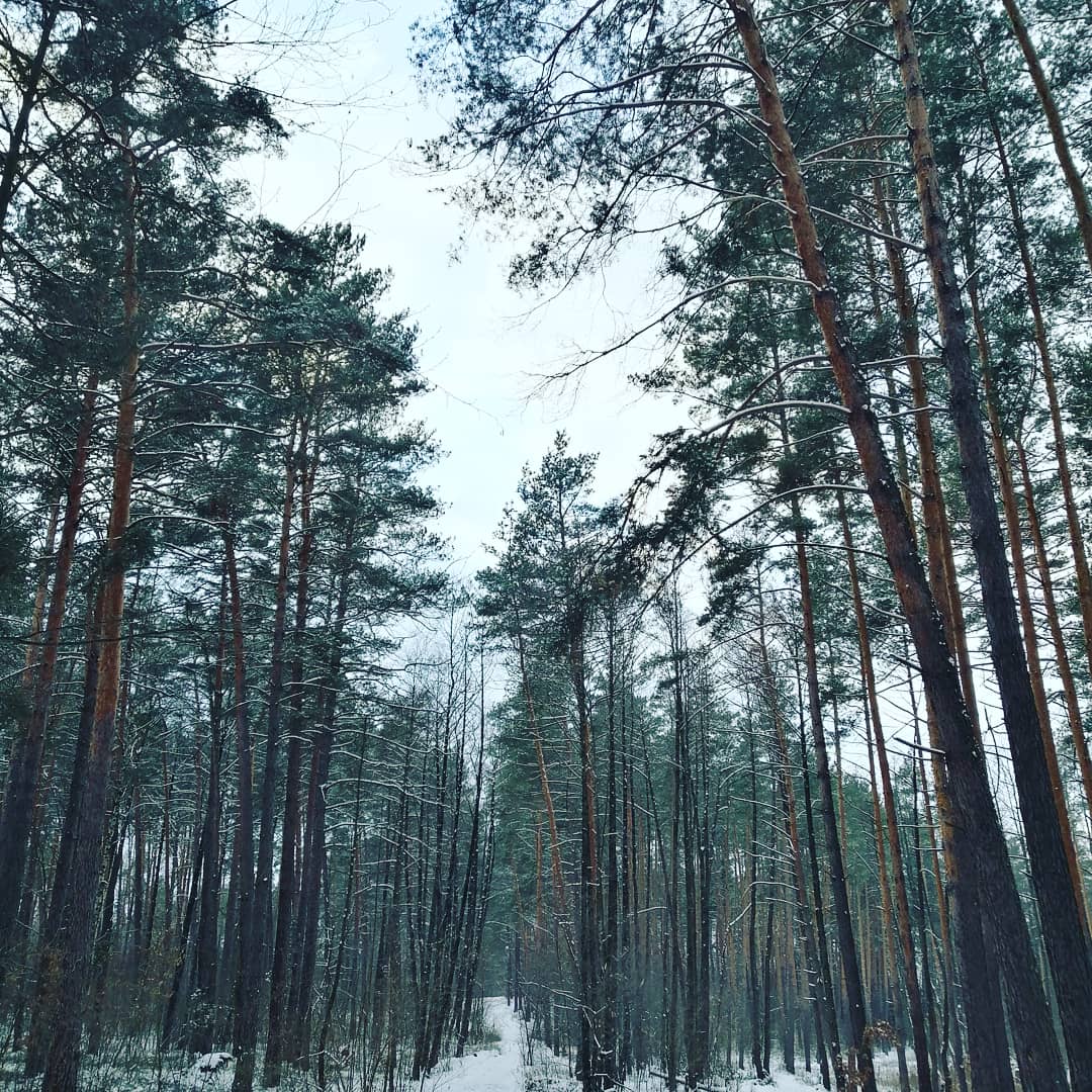 Joe_Hitboy's tweet image. The city of Korostyshiv 💙