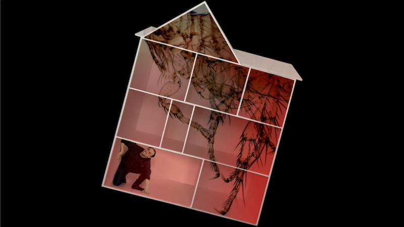 FringeArts's tweet photo. "Blood Meal" by @scottshepp0617 premieres LIVE Monday at 7 &amp; 9pm. In a satirical thriller, remote performers @joshua_w_gelb &amp; @lminora come from closets across East Village in a portrait of intimacy &amp; infestation in the digital space. @theaterinquarantine https://t.co/h1cHfNipCS https://t.co/0I4Fp3cu3K