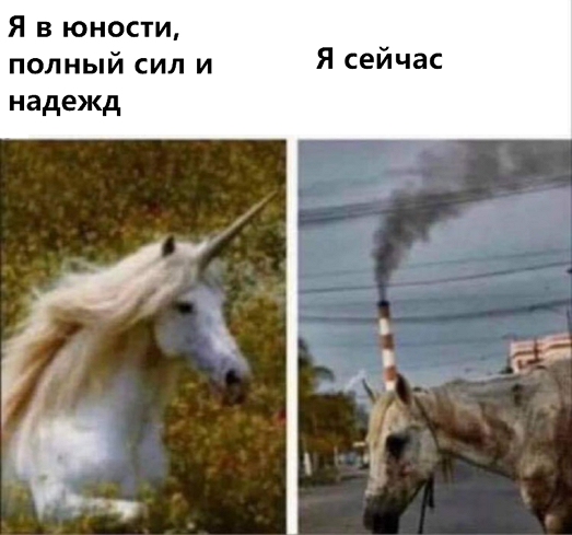 so_mad_so_funny's tweet photo. https://t.co/ygWQXl8YwC