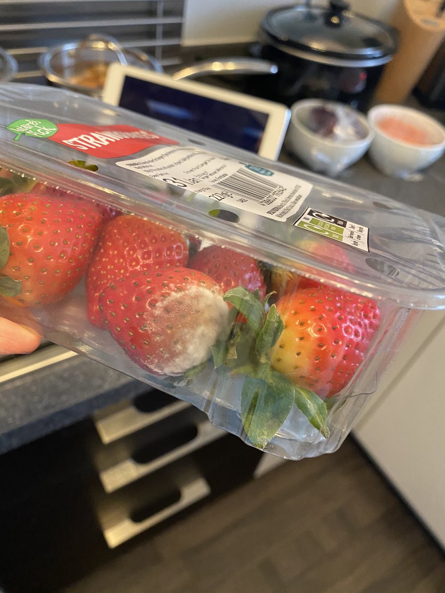 Jadeyc11's tweet photo. @AldiUK brought these strawberries yesterday to have for dessert today! Went to open them and they are moulding but in date! #aldi https://t.co/rqMVQJZ5pz