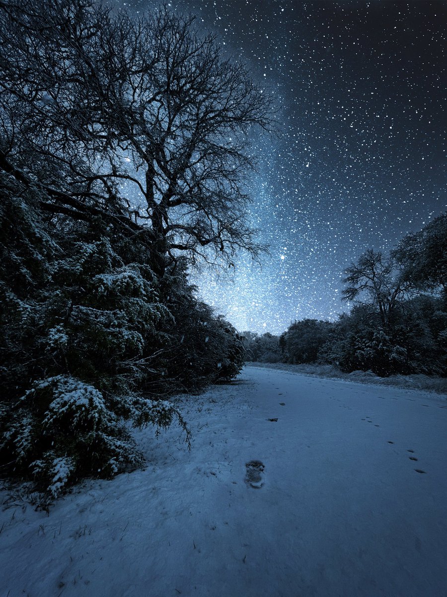 mcbertco's tweet image. #sundayvibes