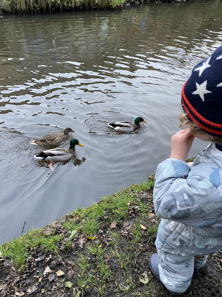 Broad26C's tweet image. 3 more bridges off our list @NewMillsPrimary, and some very friendly ducks! #21bridges