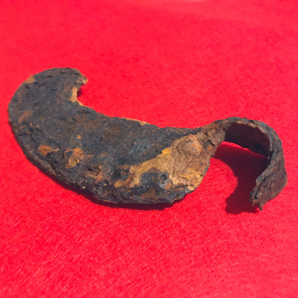 thisisyogic's tweet photo. Just rediscovered this in a drawer. No, not another Thames find: a medieval oxen shoe found in Somerset 🐮 🐮 🐮 https://t.co/nQphRAAisE