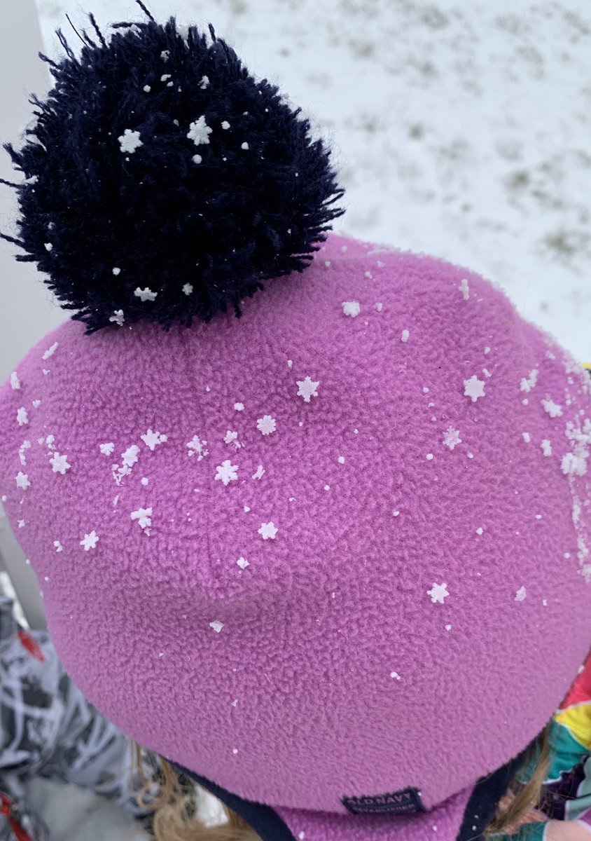 Winter in PA today.  First time ever seeing such perfect snow!! Had to share this mathematical perfection.