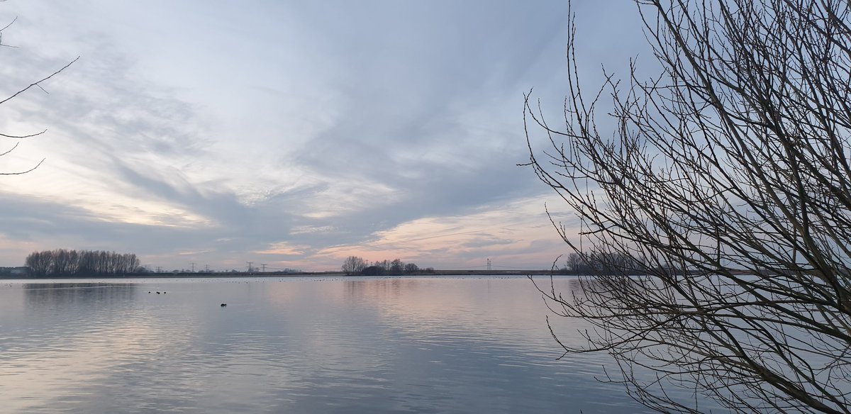 Teuntje71's tweet photo. Te lekker fris zonnig winterweer om de hele dag binnen te zitten. Dus trokken we de wandelschoenen aan en liepen een rondje #Milligerplas . Blosjes op de wangen bij thuiskomst en zo lekker opwarmen met erwtensoep #wintertime #keepmovingtokeepsane https://t.co/Gk2TCbSd0v