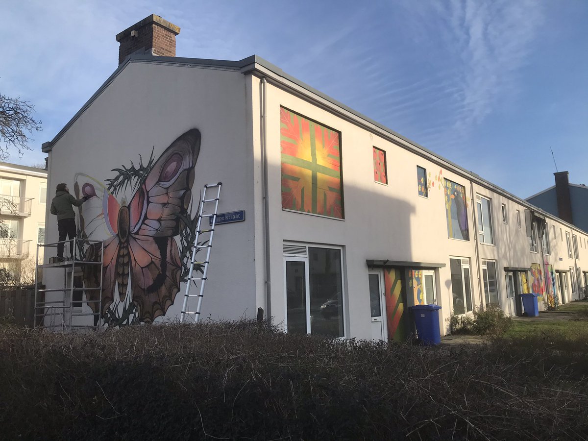 Gebouwen bomenwijk Delft worden opgevrolijkt! <a href="/GemeenteDelft/">Gemeente Delft</a> <a href="/DELFT_NL/">Tweets uit Delft</a> <a href="/Bomenwijk/">Vestia</a>