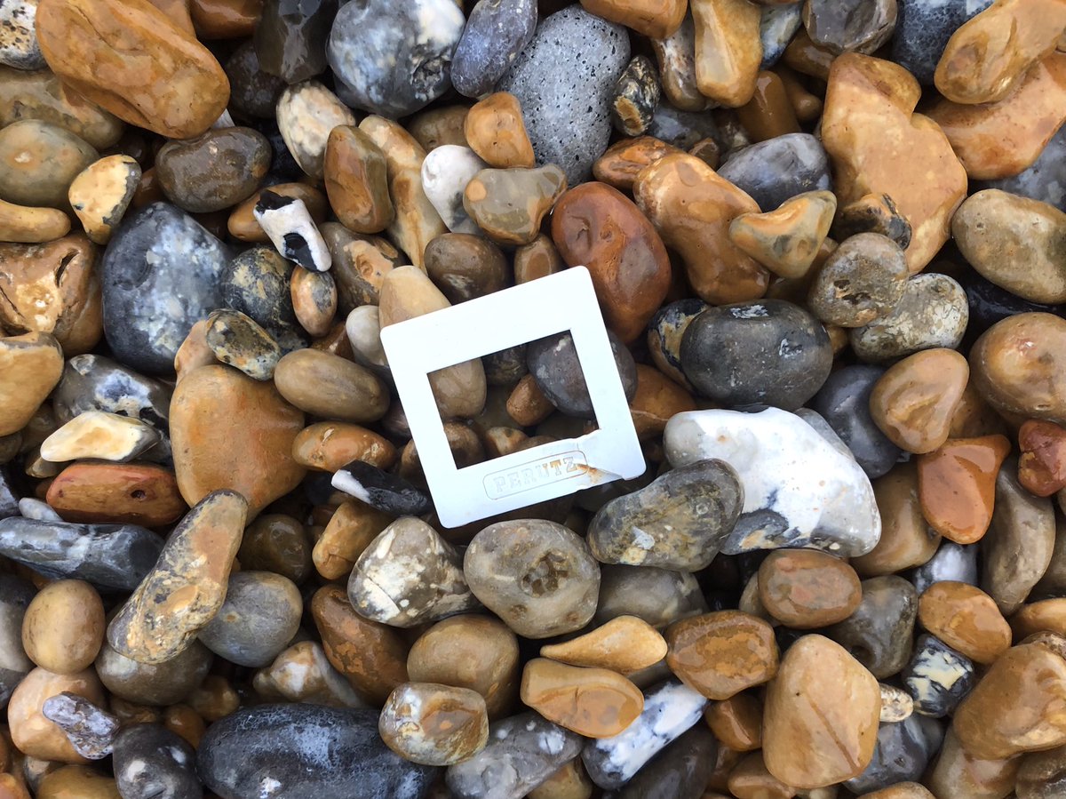 Since we’re still locked down there’s no Mudlarking, but I’ve been Beachcombing on a very cold and windy beach close to home instead. I wonder how long this plastic slide holder has been at sea? #mudlarking