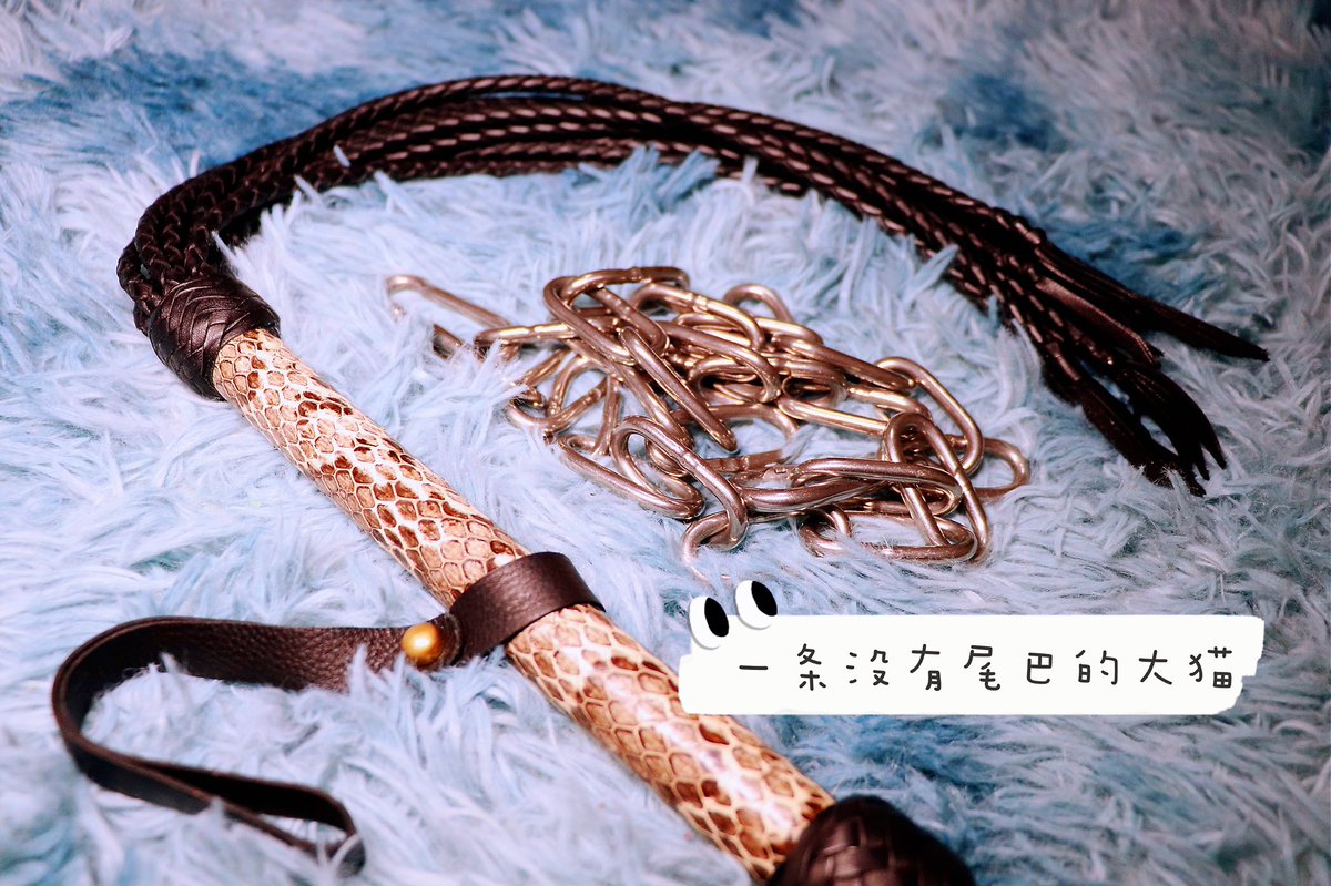 一条没有尾巴的大猫 tweet media