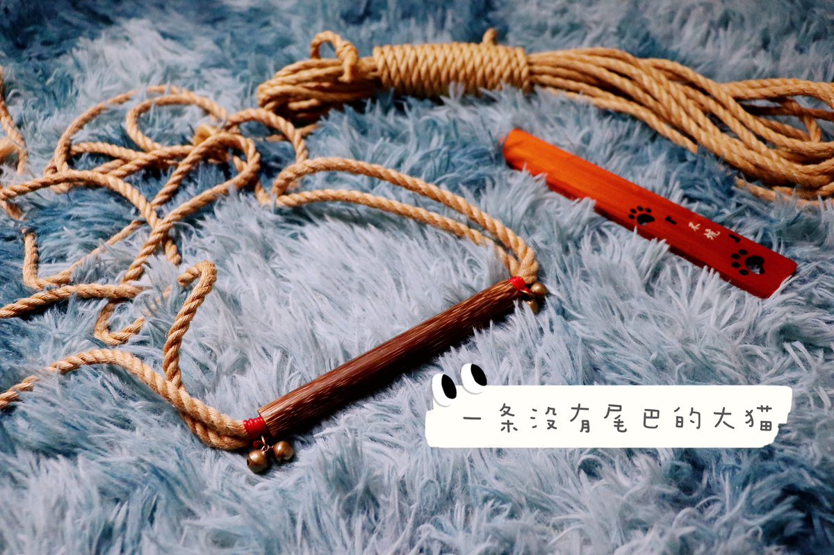 一条没有尾巴的大猫 tweet media