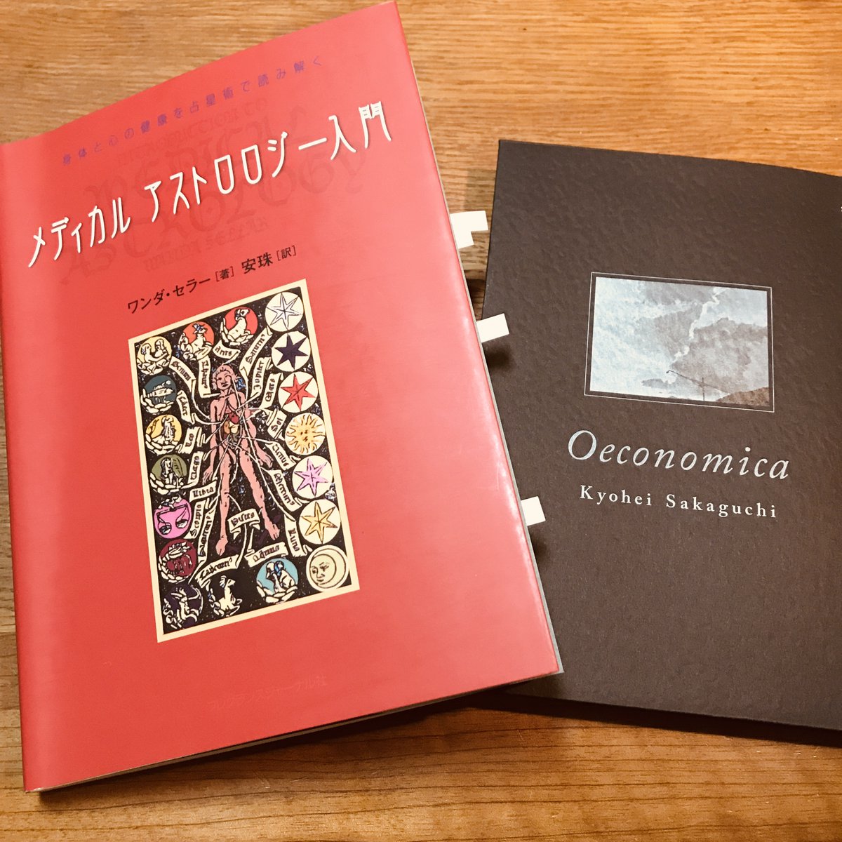 メディカルアストロロジー入門 楽天市場】メディカルアストロロジー入門の通販