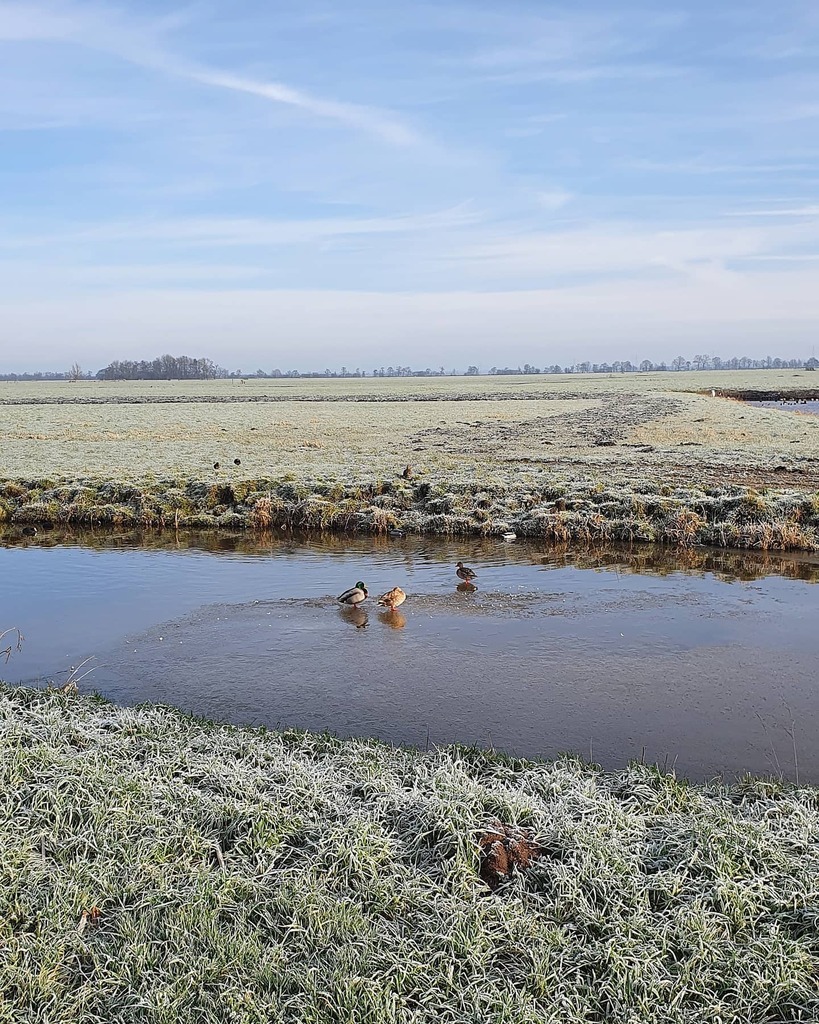 tstroo's tweet image. Heerlijk rondje in de kou! 🥶🚴 #hollandsekade #houtdijkerpad #kockengen #portengen instagr.am/p/CKtZWAOhnOf/