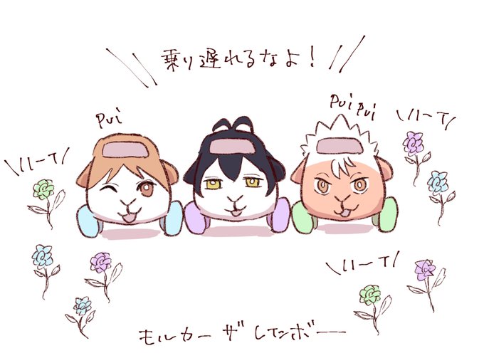 モルカーザレインボーさんたち 