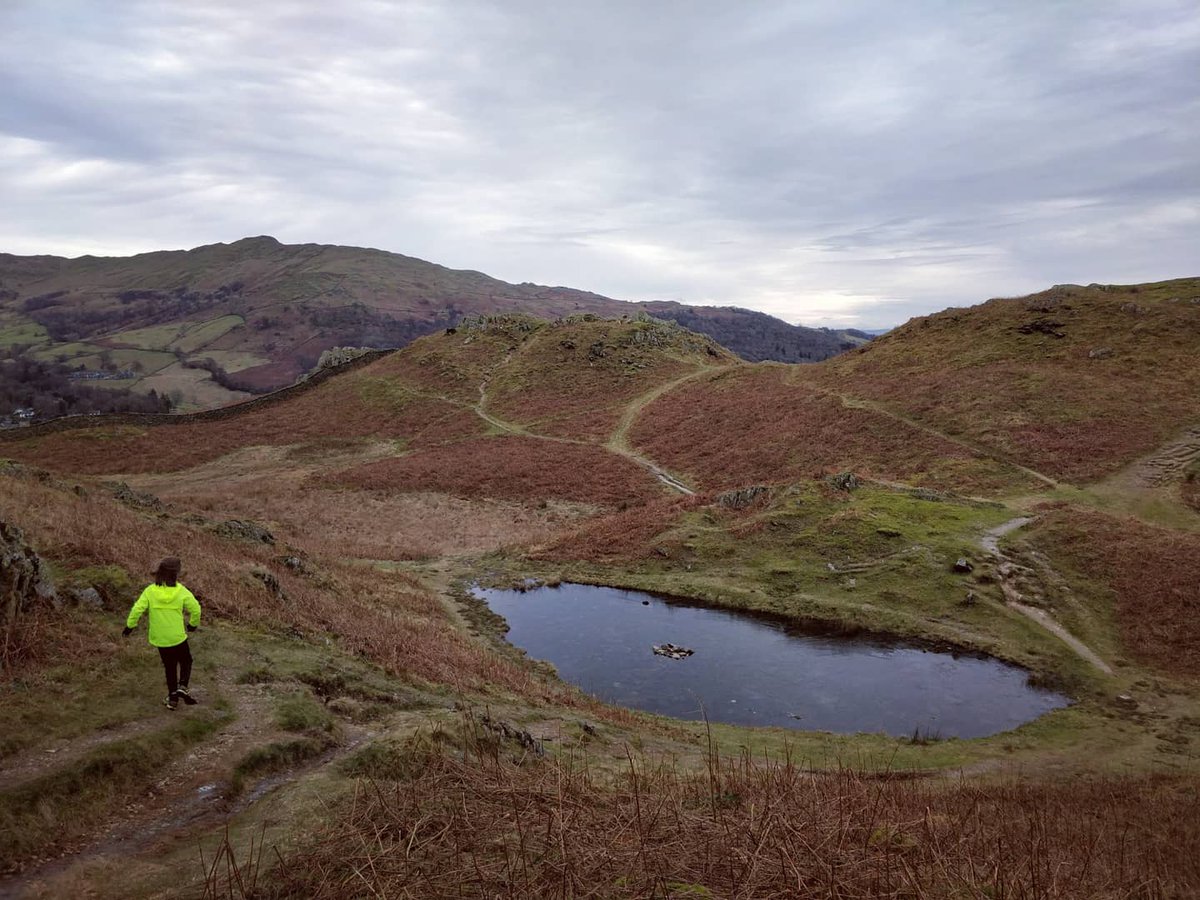 He's done it! Joss has run every day in Jan for <a href="/CatsProtection/">Cats Protection</a> &amp; the total he's raised currently stands at £1479!😻
So proud- as much as he enjoys running, getting out every day on top of homeschooling has been a real challenge! Donations still open here: justgiving.com/fundraising/jo…