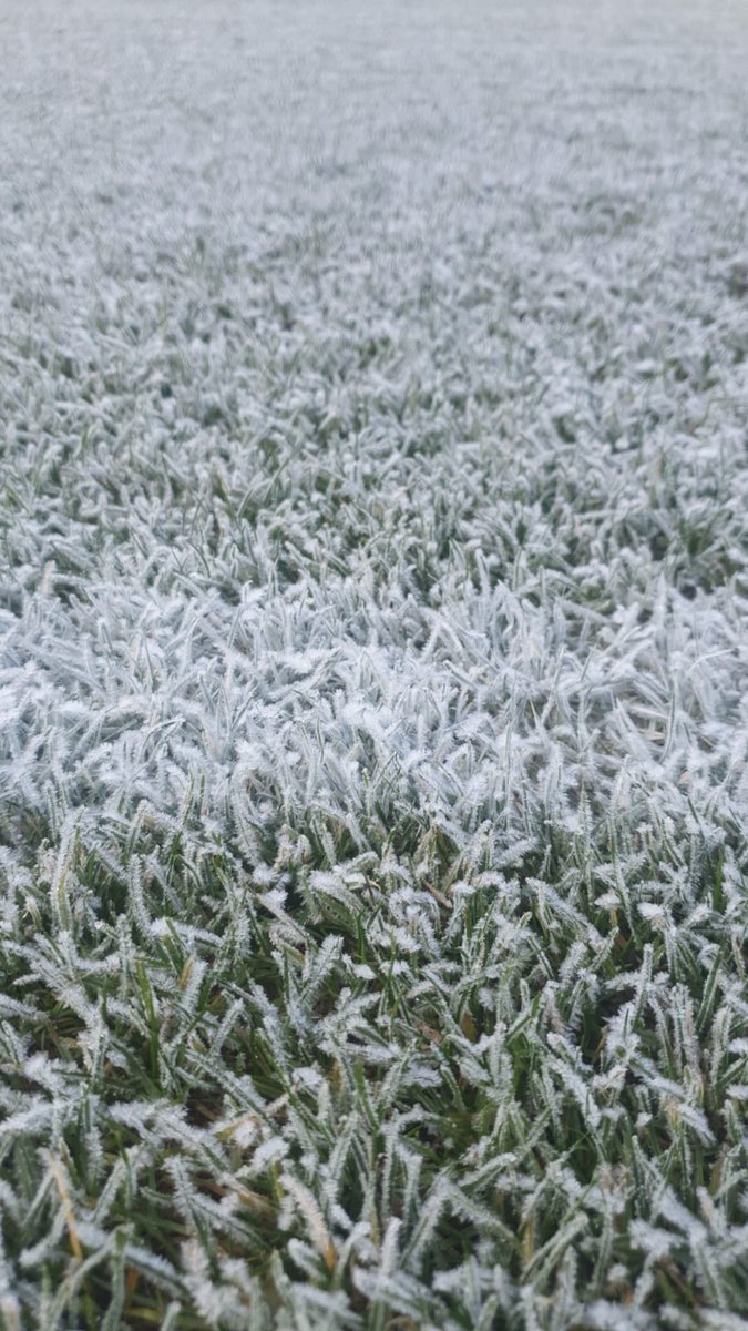 Al die betweters in die praat programma's hebben echt geen idee wat er voor nodig is om een stadion veld in orde te krijgen. Kleine impressie van de zondag bij ADO. #ADOspa #ahvrij