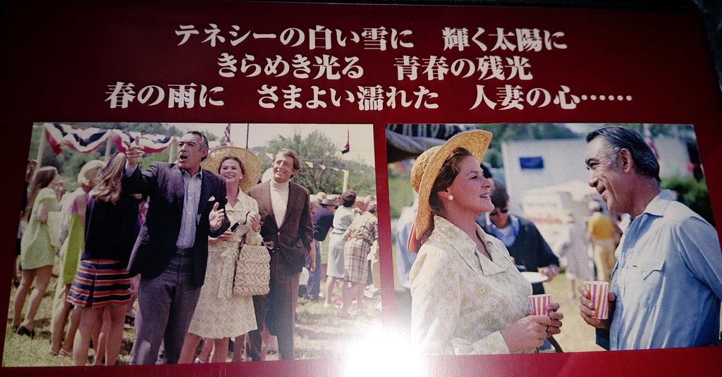 Rainbow09kine's tweet photo. #春の雨の中を
イングリッド・バーグマン出演映画の未見作品は２本あったが、本作はその１本🎥

バーグマンとアンソニー・クインがお互いに家庭持ちだが恋愛するロマンスもの🌈

綺麗な大自然の風景の中、大人の男女の恋愛を確りと描いた見応えのある作品。バーグマンの美貌はさすが💗
#Jimmy09 https://t.co/ucnI5TeJje