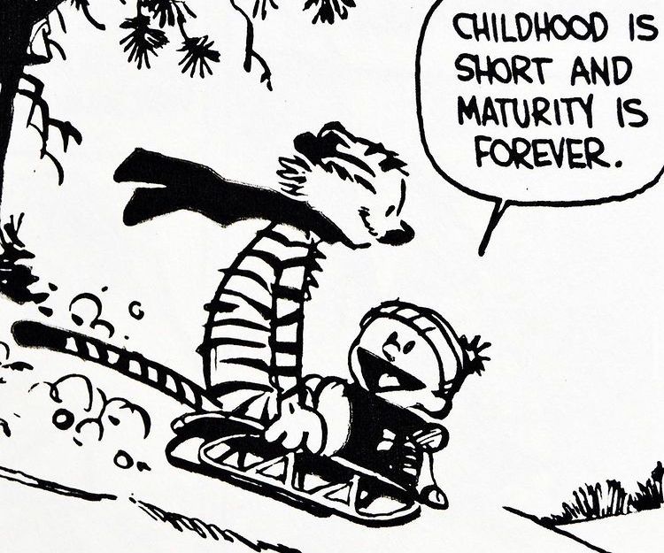 Calvinn_Hobbes's tweet photo. Cherish your youth! #CalvinandHobbes https://t.co/lG0YMBtTBV