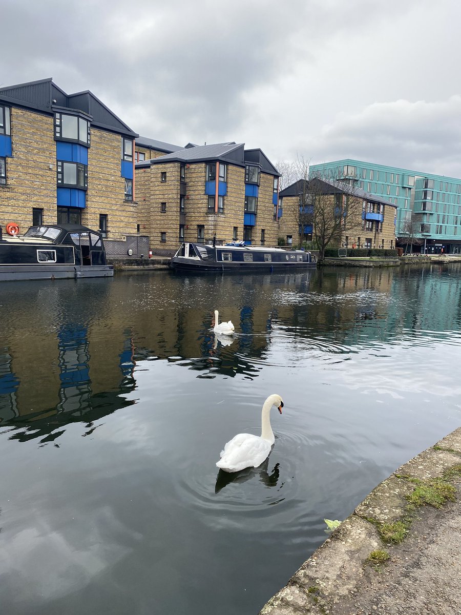 Shokina2's tweet photo. Our Sunday walk! Yumna took some pictures of what she saw through her walk down #Mileendpark #exersice #stayingsafe #keepingourdistance @JohnScurr_Sch @JoanneP63111066 We saw some lovely yellow daffodil and spotted a British magpie birds! https://t.co/NVXhfFO10t