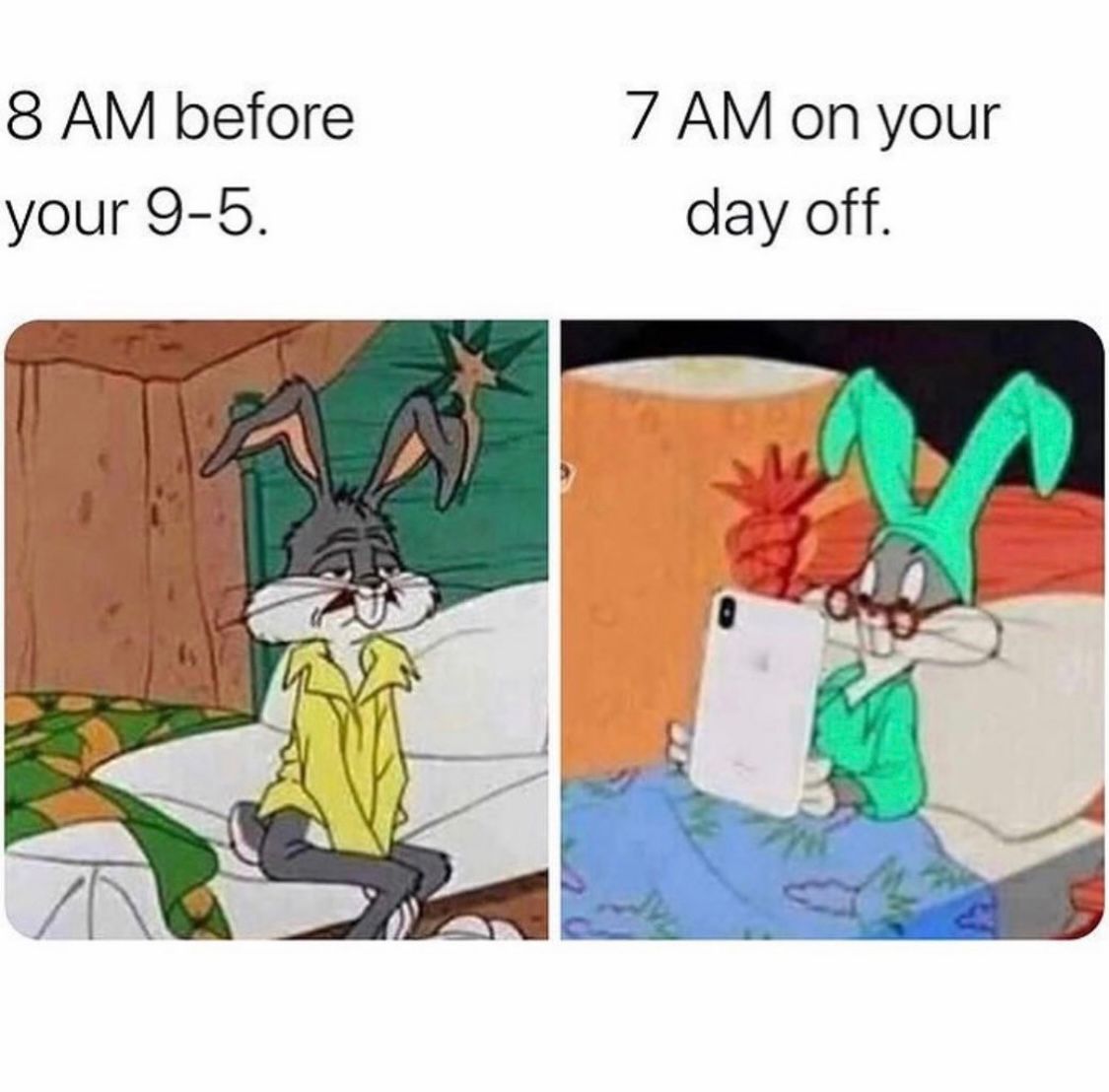 DeathWishCoffee's tweet photo. Does anyone else feel this way? 🤷 (📸 :@ sarcasm_only) https://t.co/MILKp6TM9d