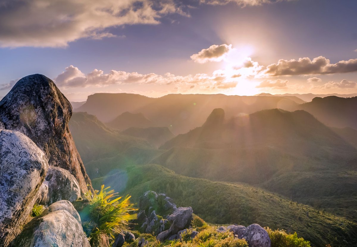 SaintKateriCtr's tweet photo. The people who sit in darkness have seen a great light;
on those dwelling in a land overshadowed by death,
light has arisen.
#DailyReading #CatholicTwitter #CatholicGab #love #nowplaying #life #light #integralecology https://t.co/Fqe3AtpRzi