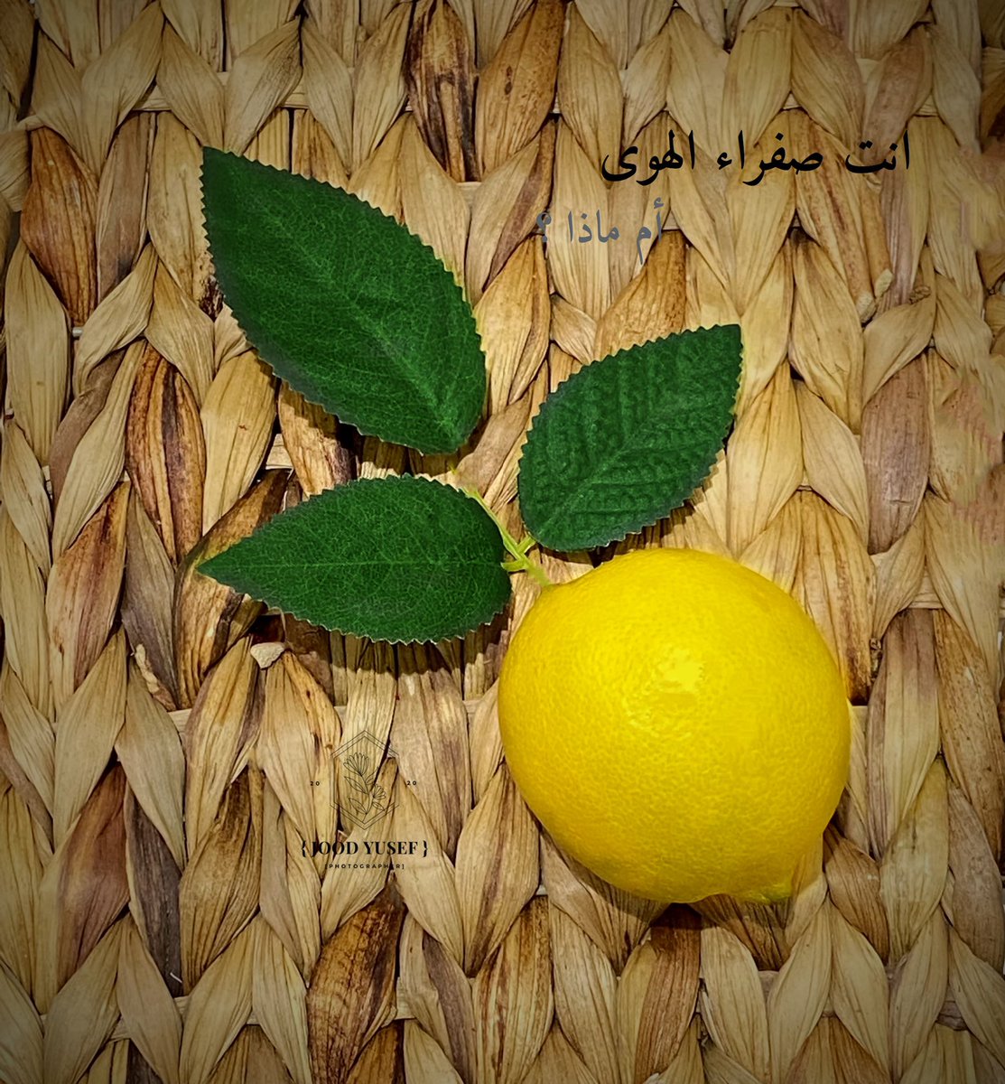 jood14928019's tweet photo. تصويري 💔😔.  لايك وفولو حسابي في الانستقرام jood_pictorial#شاركنا_صوره_من_تصويرك https://t.co/RfhMWSIyul