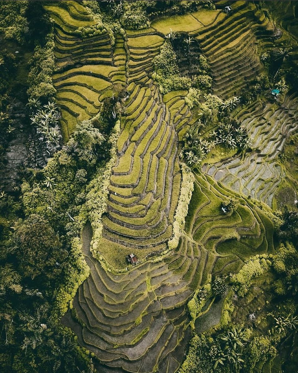 Sumatera Barat dengan sejuta Keindahan Alamnya
Begitu tenang dan memanjakan Mata.
-
🌎Marambuang, Palembayan Kab.Agam Sumatera Barat
📷 IG kiddrock85