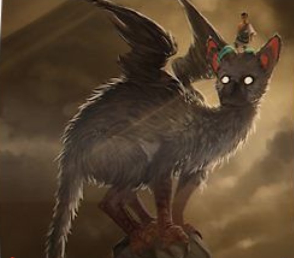 ArdenWalker4's tweet photo. @RobAnderson2018 Nobody gets to ride on top of my head though. Just saying. https://t.co/VoZLyaQNUA