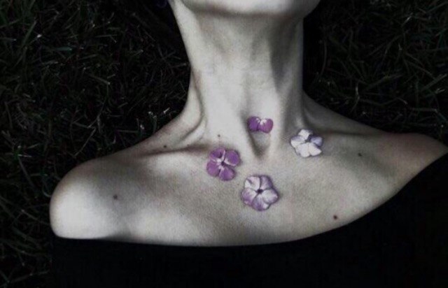 _accident2015_'s tweet photo. Эстетика ключиц https://t.co/I9hHOtXlVr