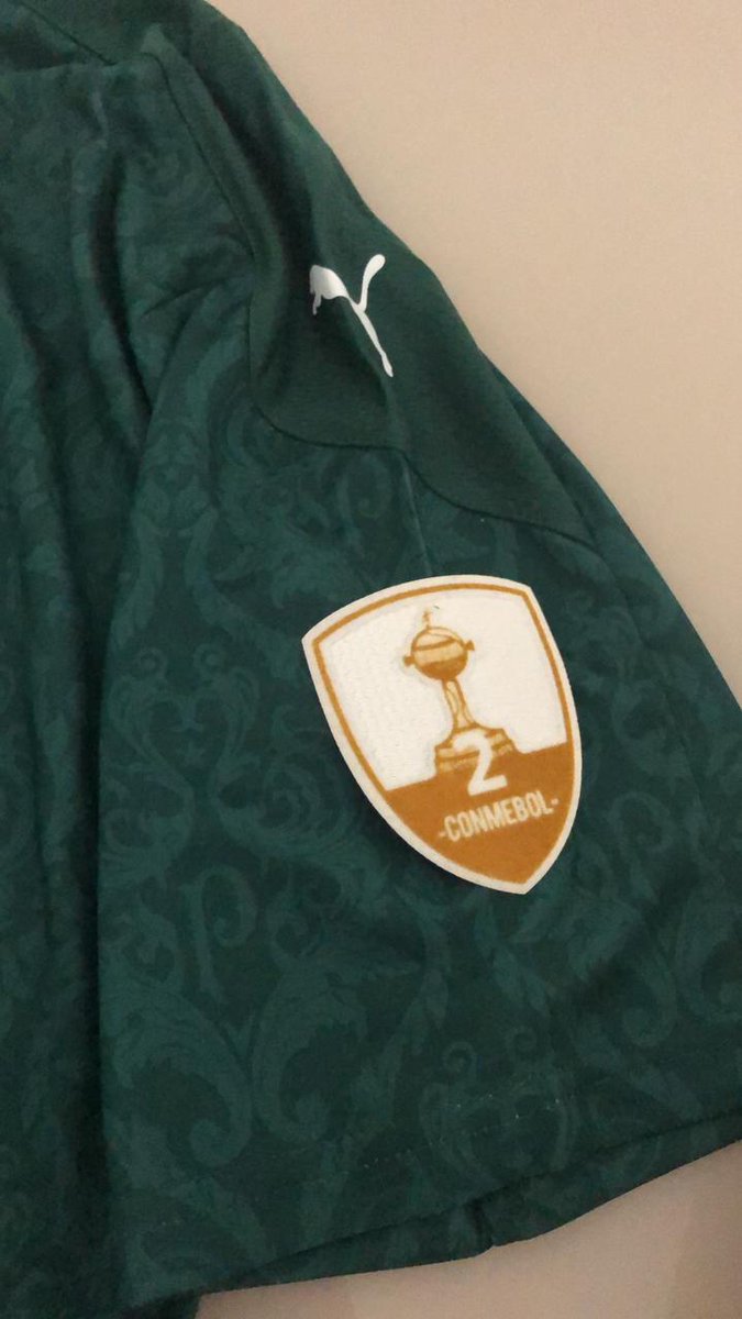 K7CAMISAS's tweet photo. Camisa do Palmeiras com patchs disponível para encomenda
#k7camisas #camisadefutebol #PalmeirasCampeao #Libertadores #GloriaEterna #Crefisa #BiCampeãodaLibertadores https://t.co/bSI3tljkWm
