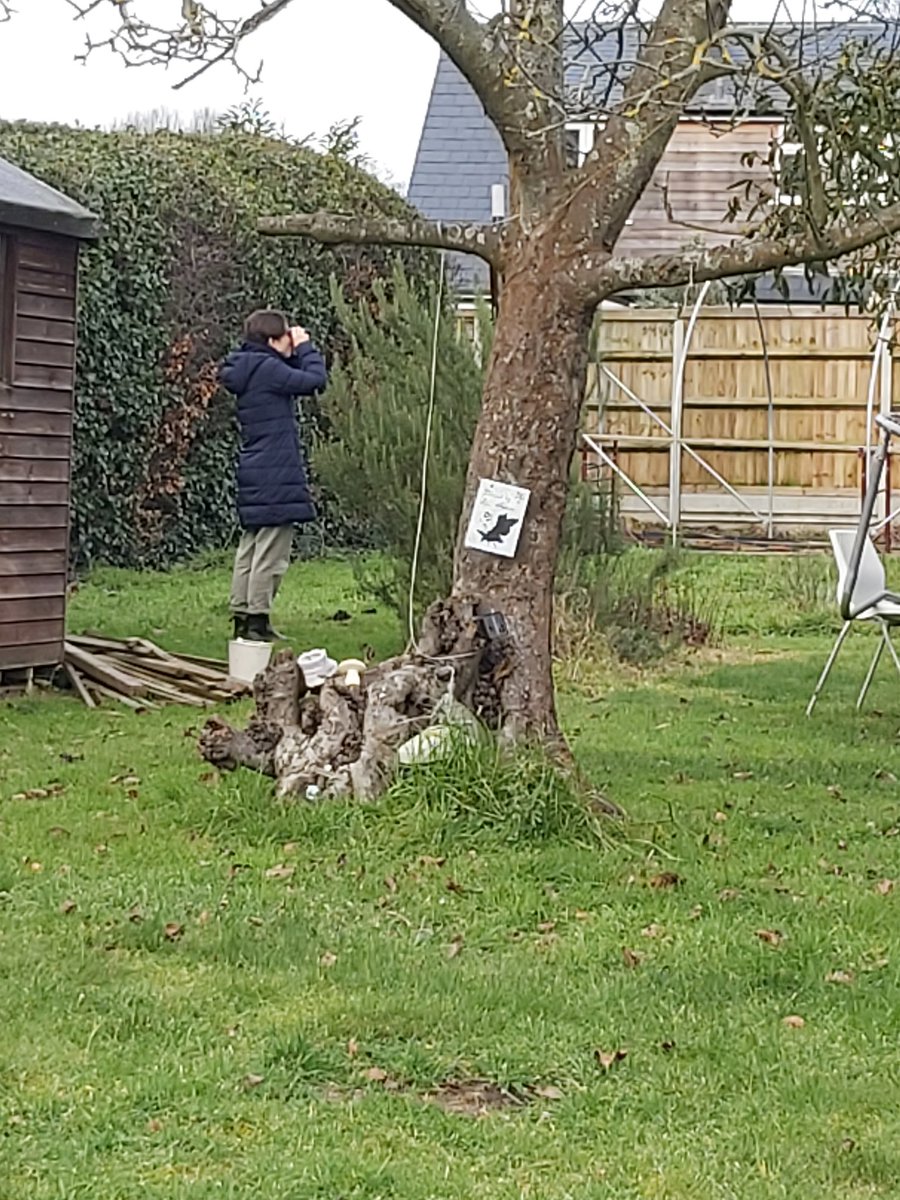 #BigGardenBirdWatch she's spotted one! #GreatTit